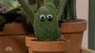 https://bigmemes.funnyjunk.com/gifs/Googly+eyes+make+anything+a+pet_86dcc6_5164003.gif