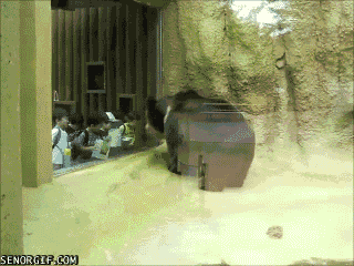 Metal Panda. .