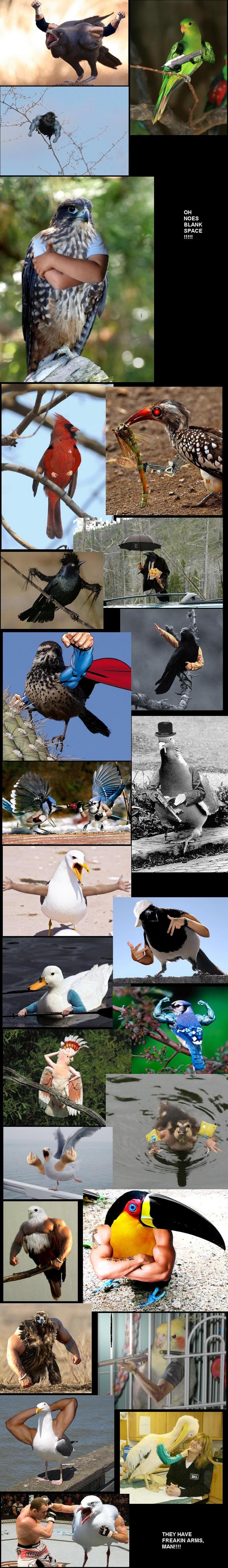 ARMBIRDS!. What has science done? Well maybe not science, but teh internets. LOL. THEY HAVE FREAKIN ARMS,. LMAO at bird-ward scissor hands