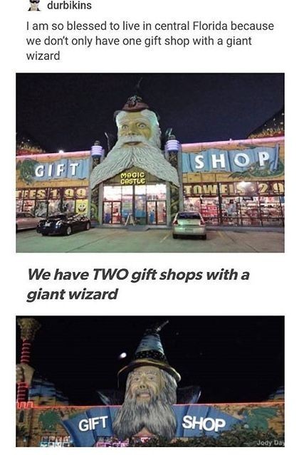boorish visual fussy. .. Stop hoarding all of the giant wizard shops you alligator
