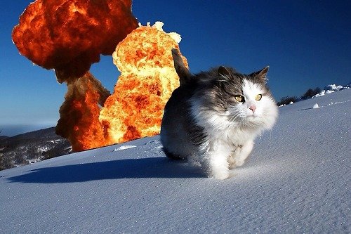 Cool cats don't look at explosions. Even though it's a bombastic view. If I'd been there, I'm sure it would've blown me out of my shoes..