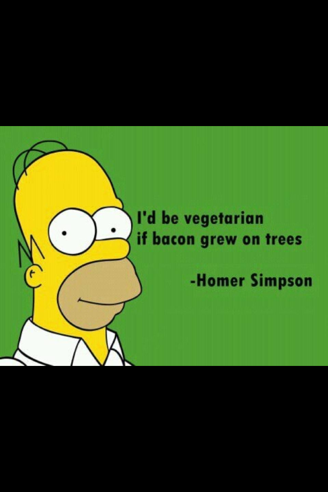 Homer Knows Best. Exactly ...... What the is this OP?
