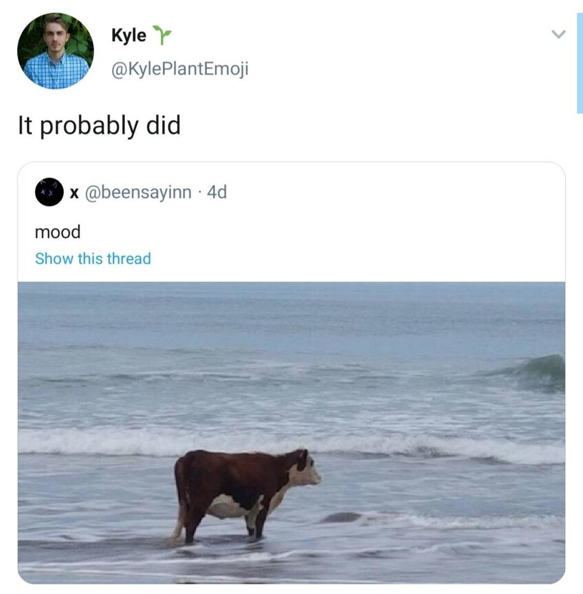 Прикол i think about. Звёздные войны войны клонов генерал тренч. Probably. Bummed out перевод. It is probably more.