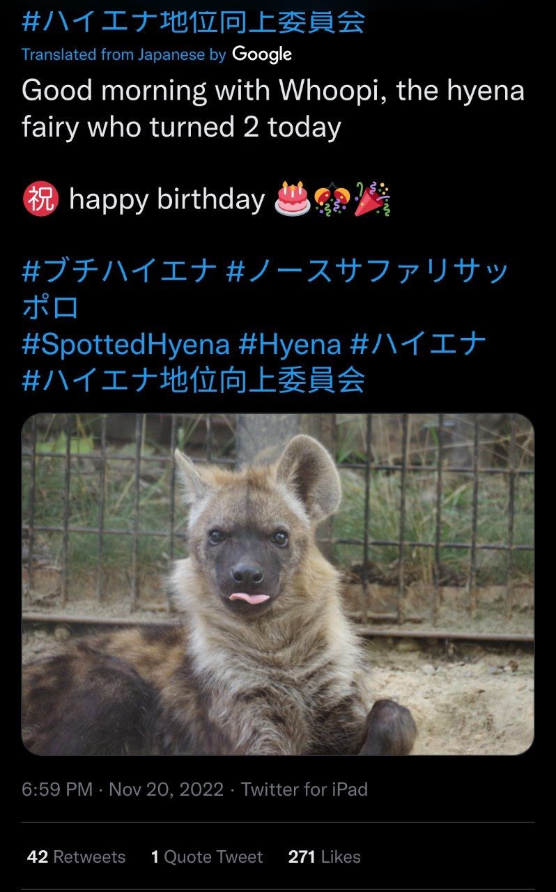 it's whoopi's Birthday. join list: YeenPosting (125 subs)Mention Clicks: 3293Msgs Sent: 13576Mention History.. I like how there is so few people on funnyjunk that if I see a hyena I instantly know its the only guy who posts hyena stuff.