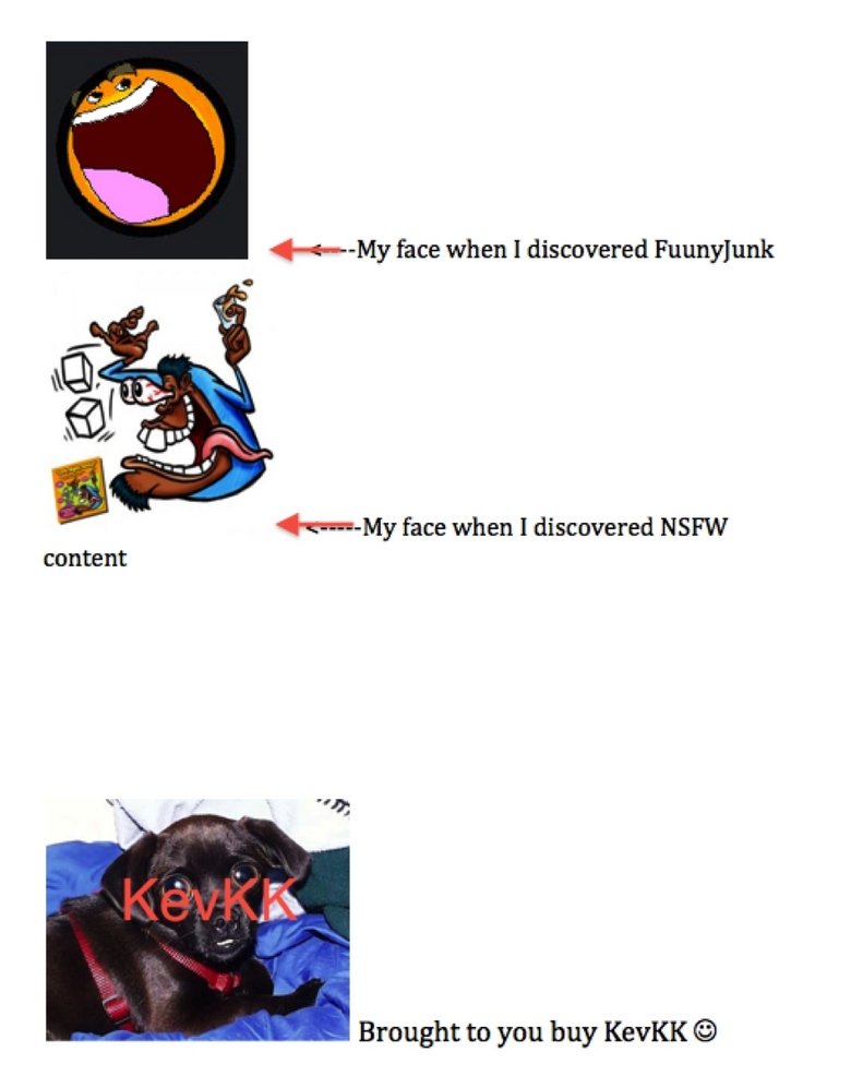 My Face. First Post (: Hope you enjoy sorry for the white space&lt;br /&gt; Original Content &lt;br /&gt; Tags. face when I discovered Fuunyjunk face when I dis