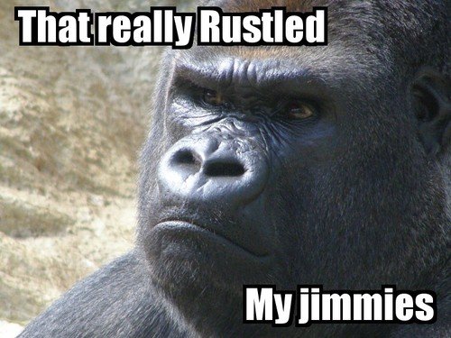 Rustled my jimmies. funny reaction pic.. really’ usual! s'". i left this in a comment once and i never got it from f j i got it from google like a regular person......you took it off me didnt you????!!!!!