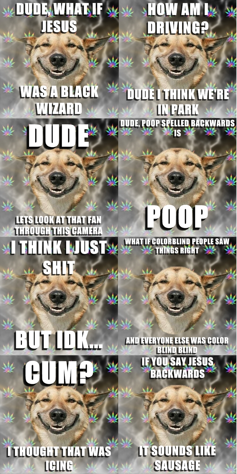 Stoner Dog Collection #1. Made 4, found 4. RATE OR I'LL YOU WITH A RAKE. Oh wait wrong meme.
