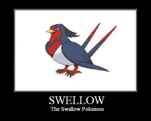 Swellow. Not even lying. Look it up.&lt;br /&gt; This is my first post, so im hoping it goes well. XD. dhl" The Swallow Pokemon. you can see it in his/her eyes.... Ideas to help save funnyjunk for the long term!!! http://funnyjunk.com/funny_pictures/357395/Why+Haven+t+We+Done+This+Yet/