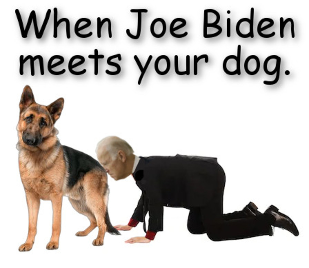 When Biden meets your dog