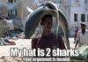 Two shark head