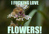 Hamster loves flowers.