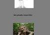 Troll tree