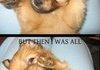 How I Was