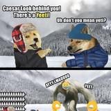 GOTTEM
