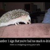 lol hedgehog