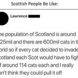 embarrassed vague gabby Stinkbug