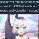 fluttering outstanding Raccoon